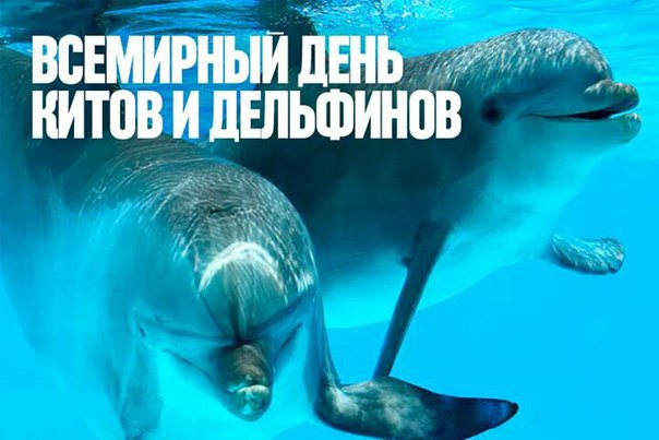 Всемирный день защиты морских млекопитающих (День китов и дельфинов)