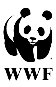 День рождения Всемирного фонда дикой природы (WWF)