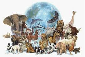 Всемирный День защиты животных