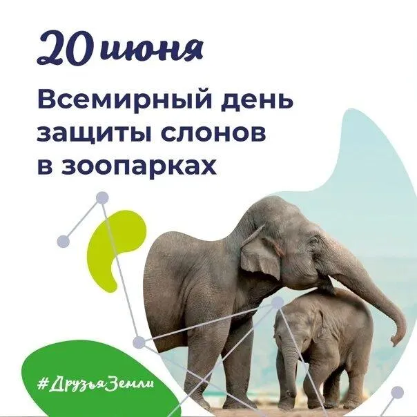 Всемирный день защиты слонов в зоопарках.  