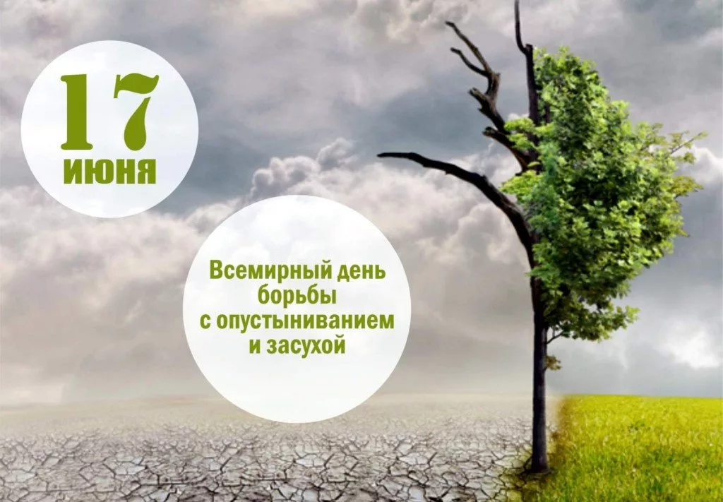 Всемирный день борьбы с опустыниванием и засухами (с 1995 г.)