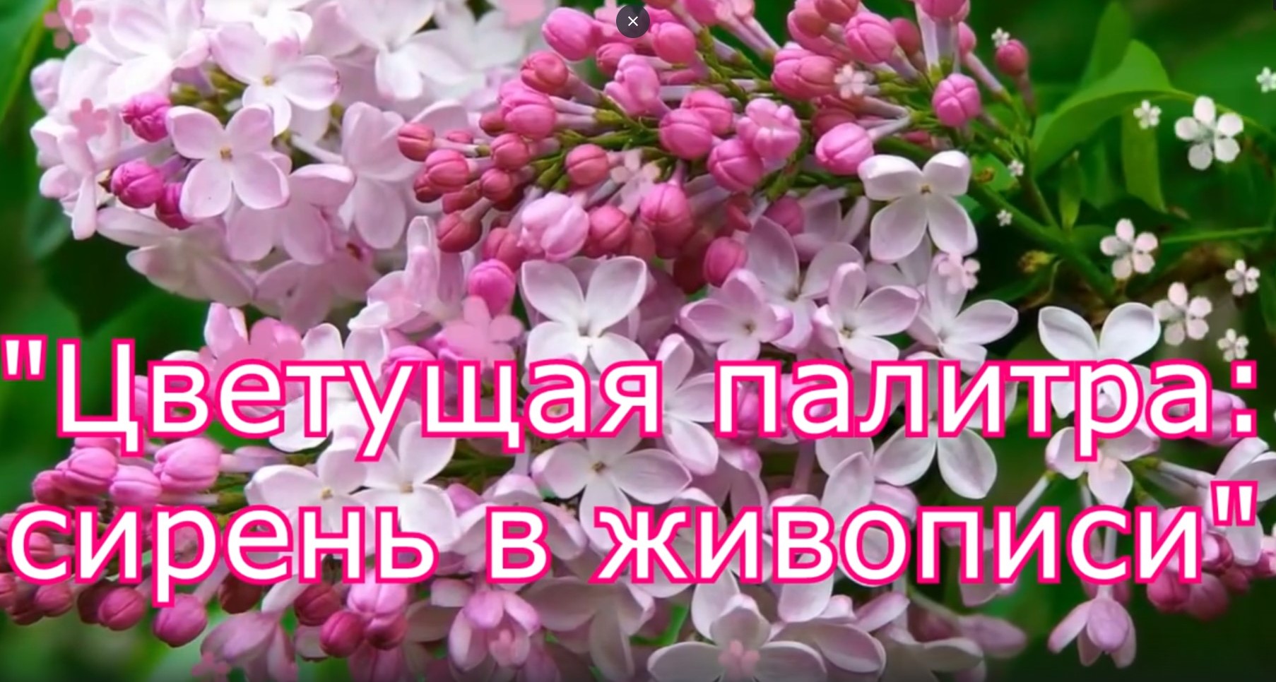 "Цветущая палитра: сирень в живописи"