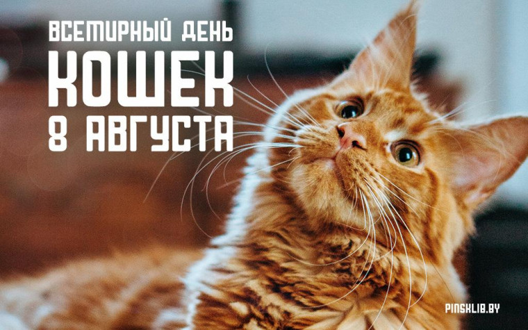Всемирный день кошек