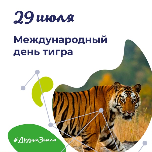 Международный день тигра (с 2010 г.)