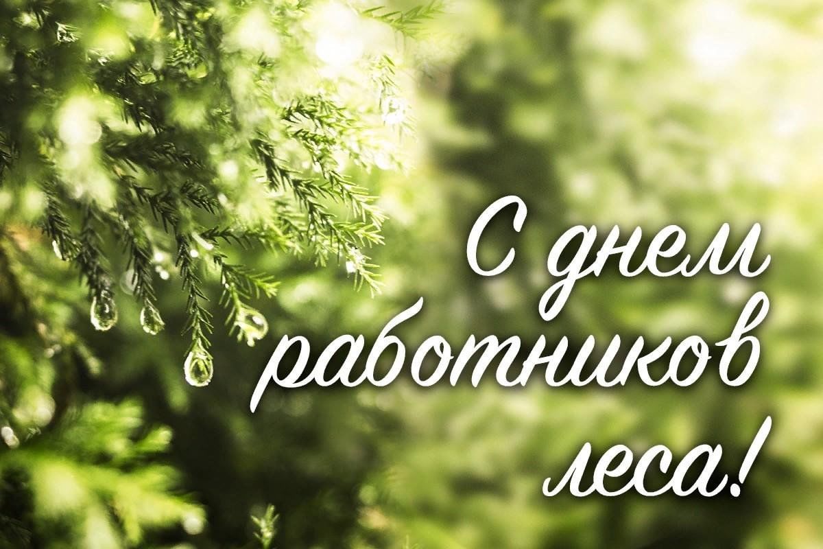 День работников леса, Российский День леса (с 1980 г.) (третье воскресенье сентября)
