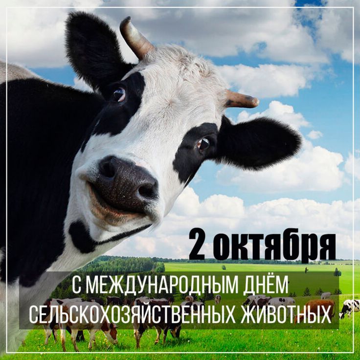 Всемирный день сельскохозяйственных животных