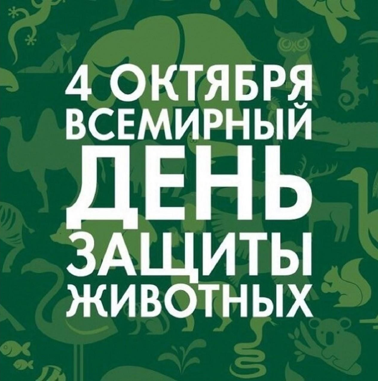 Всемирный день защиты животных