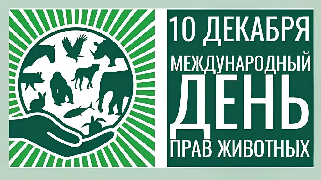Международный день акций за принятие Декларации прав животных